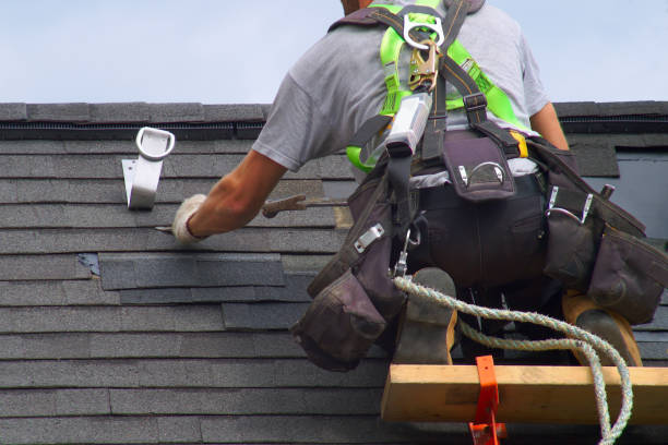 Best Roof Maintenance Services  in Spring Arbor, MI