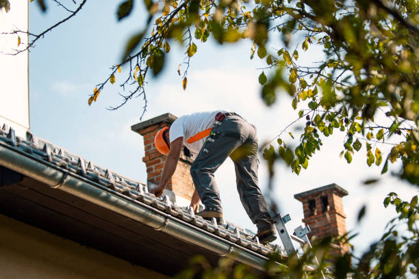 Best Roof Restoration Services  in Spring Arbor, MI
