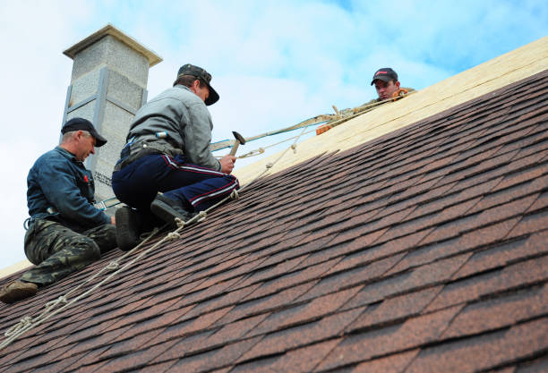 Best Roof Gutter Cleaning  in Spring Arbor, MI