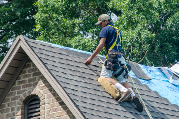 Best Roof Waterproofing Services  in Spring Arbor, MI